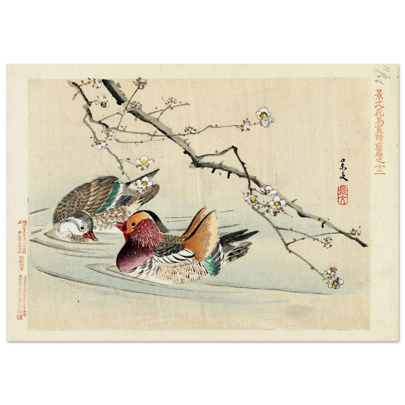 Two ducks by Matsumura Keibun, 1892.