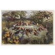 Richard Doyle illustration for Fairyland book. Elf teaching the young birds to sing