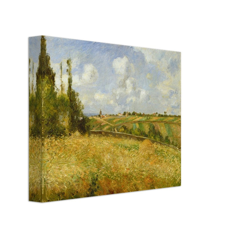 A Rye Field, Hill of Gratte Coqs Pontoise by Camille Pissarro 1877.