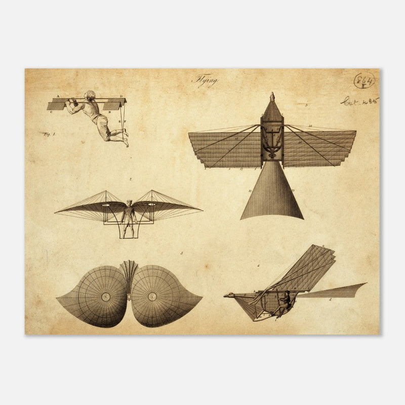Different flying machines from the past. Old vintage airplanes. Aviation history.