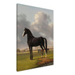 Antique painting of black horse by Anthony Oberman 1828. The fast one in a Meadow.