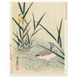 Water bird looking at yellow songbird by Kano Tsunenobu, 1893.