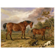 Old painting of horses by James Ward 1835. Portrait of Reformer, Blucher, Tory and Crib.