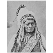 Sitting Bull native american leader.