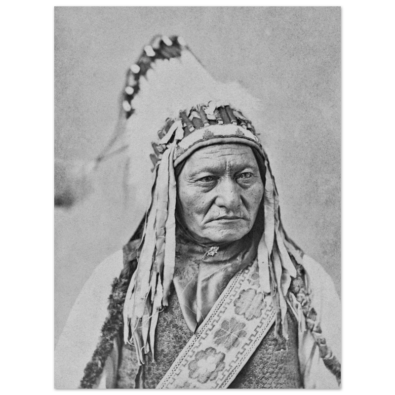 Sitting Bull native american leader.