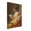 Young Girl Reading painting by Jean-Honoré Fragonard 1769.