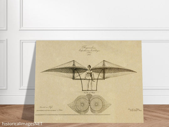 Flight machine invented by Jacob Degen in  1807 also called Degen ornithopter.
