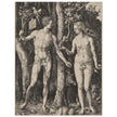 Adam and Eve by Albrecht Dürer