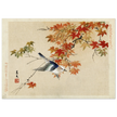 Bird flying at autumn branches by Matsumura Keibun, 1892 .