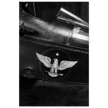 Eagle emblem on airplane Vintage aircraft old photograph reproduction