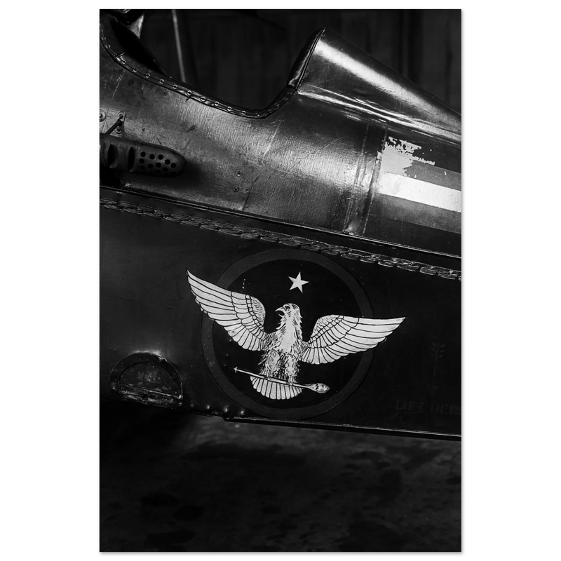 Eagle emblem on airplane Vintage aircraft old photograph reproduction
