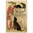 Theophile Steinlen Clinique Cheron. Beautiful vintage poster depicting a woman surrounded by cats and dogs in a veterinarian clinic.