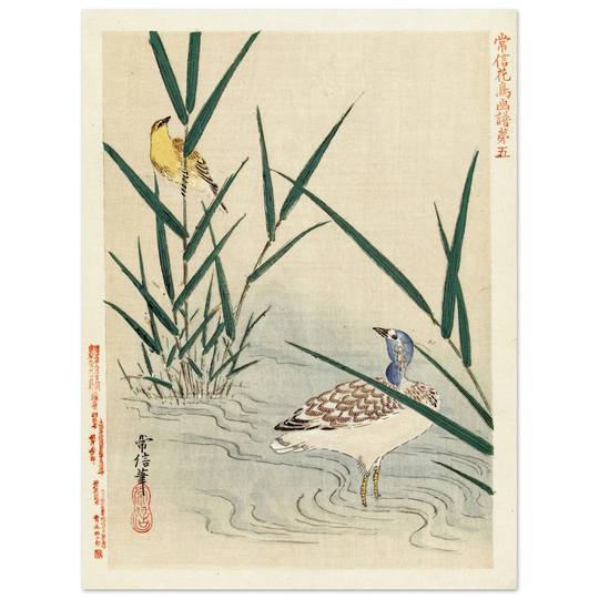 Water bird looking at yellow songbird by Kano Tsunenobu, 1893.