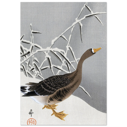 White-fronted goose in the snow by Ohara Koson