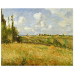 A Rye Field, Hill of Gratte Coqs Pontoise by Camille Pissarro 1877.