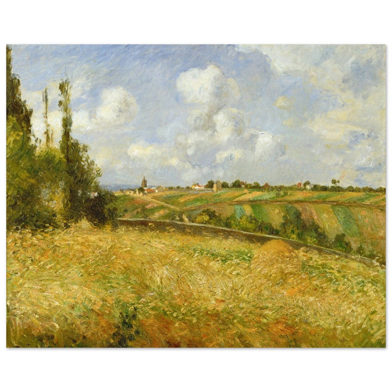 A Rye Field, Hill of Gratte Coqs Pontoise by Camille Pissarro 1877.