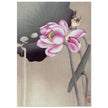 Songbird and Lotus by Ohara Koson woodblock print reproduction