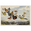 Richard Doyle illustration for Fairyland. The Fairy Queen in her carriage driven by butterflies.