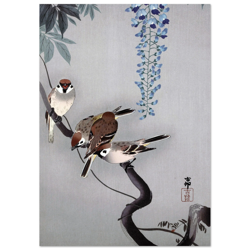 Ring sparrows at wisteria by Ohara Koson