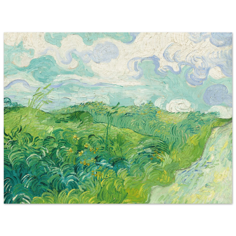 Green Wheat Fields Auvers by Vincent Van Gogh