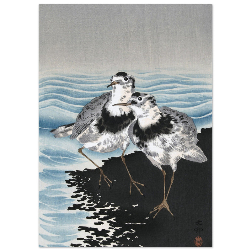 Great knot sandpipers by Ohara Koson woodblock print reproduction