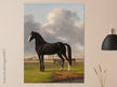 Antique painting of black horse by Anthony Oberman 1828. The fast one in a Meadow.