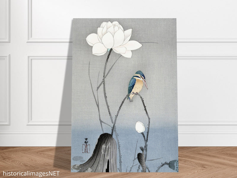 Kingfisher with Lotus Flower by Ohara Koson, ,