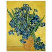 Irises by Vincent Van Gogh