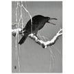 Crow on snowy tree branch by Ohara Koson, ,