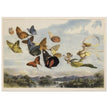 Richard Doyle illustration for Fairyland. The Fairy Queen in her carriage driven by butterflies.