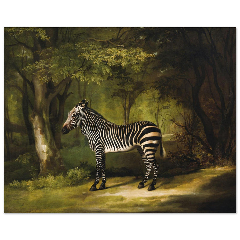Zebra animal painting by George Stubbs.