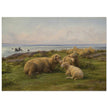 Sheep by the Sea by Rosa Bonheur.