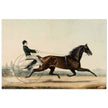 Racehorse Mac by  Nathaniel Currier 1853.