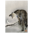 A Roaring tiger by Ohara Koson  woodblock print reproduction