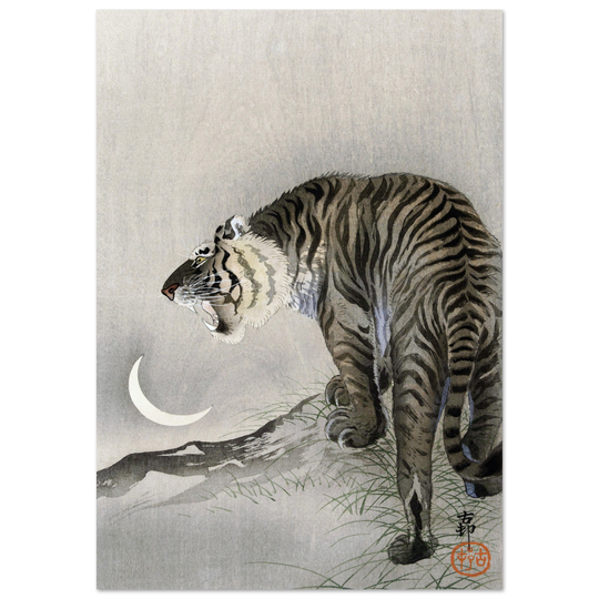 A Roaring tiger by Ohara Koson  woodblock print reproduction