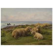 Sheep by the Sea by Rosa Bonheur.