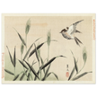 Bird flying among grasses by Matsumura Keibun, 1892.