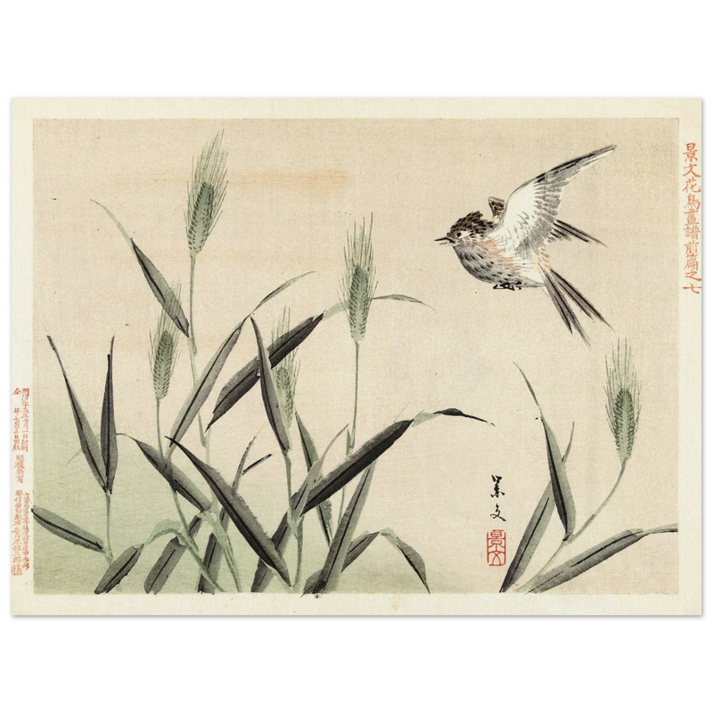 Bird flying among grasses by Matsumura Keibun, 1892.