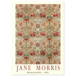 Jane Morris Honeysuckle embroidery.