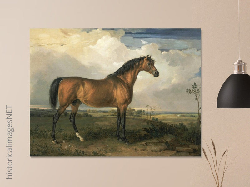 Old painting of a brown horse. Eagle, a Celebrated Stallion by James Ward 1809.