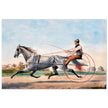 Harness cart horse racing. Grey Eddie by Nathaniel Currier 1855.