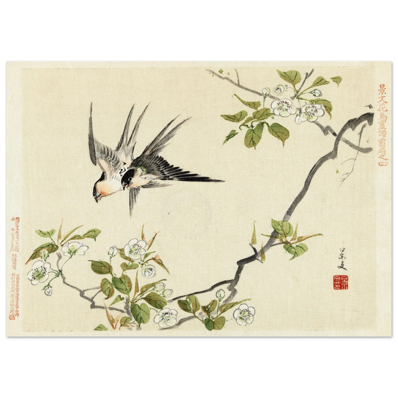 Two swallows by Matsumura Keibun, 1892 .