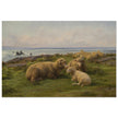 Sheep by the Sea by Rosa Bonheur.