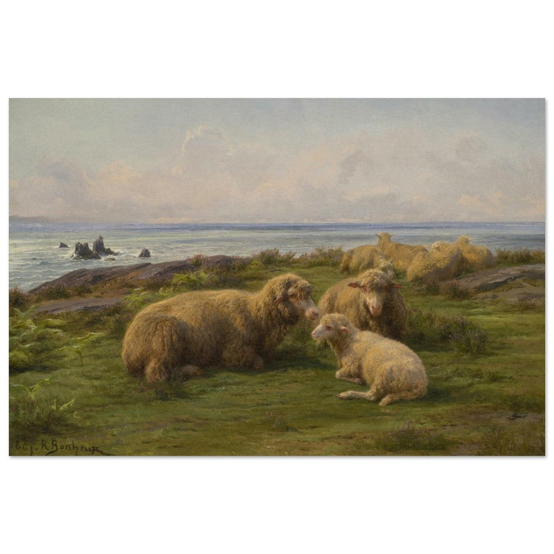 Sheep by the Sea by Rosa Bonheur.