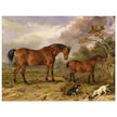 Old painting of horses by James Ward 1835. Portrait of Reformer, Blucher, Tory and Crib.