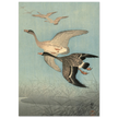 Ohara Koson White fronted geese in flight.