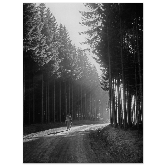 World War 2 poster. American soldier walking along forest near Bastogne .