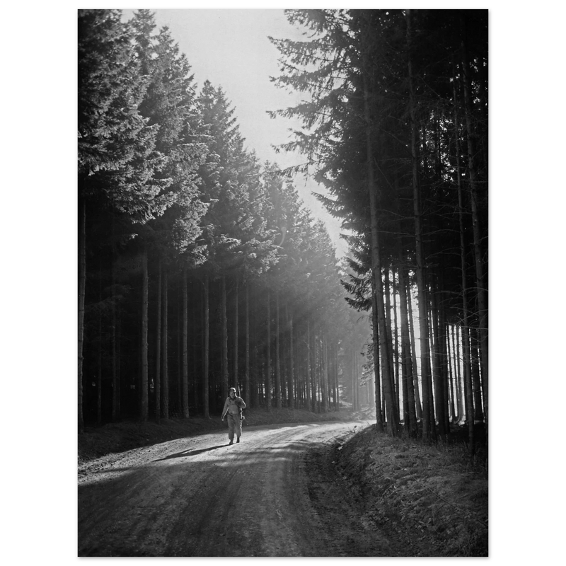 World War 2 poster. American soldier walking along forest near Bastogne .