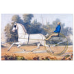 Grey Eagle horse cart antique lithograph by Nathaniel Currier.