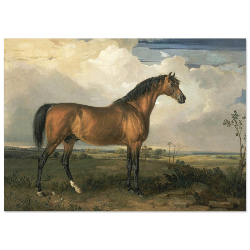 Old painting of a brown horse. Eagle, a Celebrated Stallion by James Ward 1809.